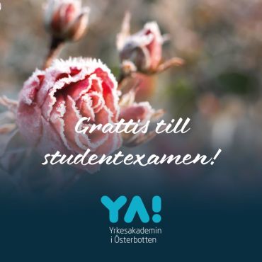 🤩🥳💐Stort grattis till de kombistuderande som avlagt studentexamen nu i höst! Bra jobbat! 💐🥳🤩

#yaösterbotten #kombiexamen